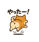 プリプリおしりワンコちゃん（個別スタンプ：1）