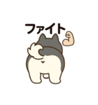 プリプリおしりワンコちゃん（個別スタンプ：8）