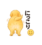 プリプリおしりワンコちゃん（個別スタンプ：11）