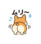プリプリおしりワンコちゃん（個別スタンプ：20）