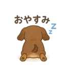 プリプリおしりワンコちゃん（個別スタンプ：22）