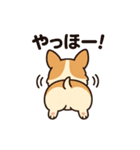 プリプリおしりワンコちゃん（個別スタンプ：24）