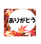*花* 紅葉＆吹き出し（個別スタンプ：1）