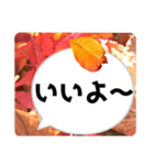 *花* 紅葉＆吹き出し（個別スタンプ：2）