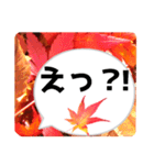 *花* 紅葉＆吹き出し（個別スタンプ：4）