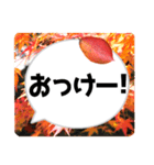 *花* 紅葉＆吹き出し（個別スタンプ：5）