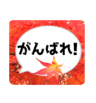*花* 紅葉＆吹き出し（個別スタンプ：6）