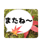 *花* 紅葉＆吹き出し（個別スタンプ：11）