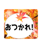 *花* 紅葉＆吹き出し（個別スタンプ：15）