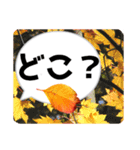 *花* 紅葉＆吹き出し（個別スタンプ：23）
