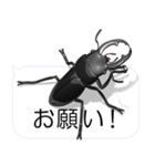 スマホの上のコクワガタ2（個別スタンプ：1）