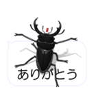 スマホの上のコクワガタ2（個別スタンプ：3）