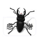 スマホの上のコクワガタ2（個別スタンプ：11）
