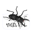 スマホの上のコクワガタ2（個別スタンプ：17）