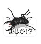 スマホの上のコクワガタ2（個別スタンプ：18）