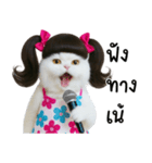 ツインテールのかわいい猫（個別スタンプ：13）