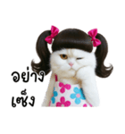 ツインテールのかわいい猫（個別スタンプ：29）