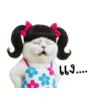 ツインテールのかわいい猫（個別スタンプ：33）