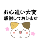 飛び出す！ねことシマエナガ 訃報・お悔やみ（個別スタンプ：6）