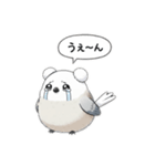 しまべあちゃん。もふ耳シマエナガ赤ちゃん（個別スタンプ：6）
