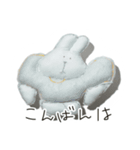ぬいぐるみ（？）（個別スタンプ：5）