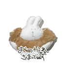 ぬいぐるみ（？）（個別スタンプ：8）