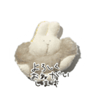 ぬいぐるみ（？）（個別スタンプ：10）