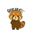 レッサーパンダ日常スタンプ第4弾（個別スタンプ：5）
