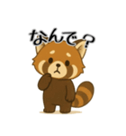 レッサーパンダ日常スタンプ第4弾（個別スタンプ：8）