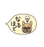 みんなのフレンチブルドッグ 13（個別スタンプ：16）