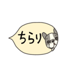 みんなのフレンチブルドッグ 13（個別スタンプ：17）