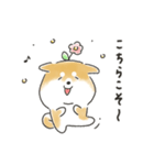 ゆるいろわんわん（柴犬）（個別スタンプ：3）