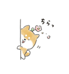 ゆるいろわんわん（柴犬）（個別スタンプ：9）