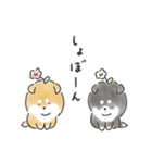 ゆるいろわんわん（柴犬）（個別スタンプ：13）