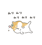 ゆるいろわんわん（柴犬）（個別スタンプ：14）