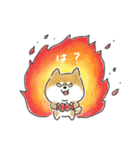 ゆるいろわんわん（柴犬）（個別スタンプ：16）