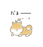 ゆるいろわんわん（柴犬）（個別スタンプ：19）