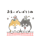 ゆるいろわんわん（柴犬）（個別スタンプ：22）