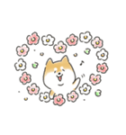 ゆるいろわんわん（柴犬）（個別スタンプ：23）