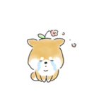 ゆるいろわんわん（柴犬）（個別スタンプ：26）