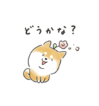 ゆるいろわんわん（柴犬）（個別スタンプ：33）
