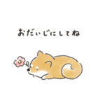 ゆるいろわんわん（柴犬）（個別スタンプ：35）
