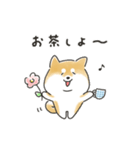 ゆるいろわんわん（柴犬）（個別スタンプ：36）
