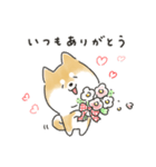 ゆるいろわんわん（柴犬）（個別スタンプ：40）