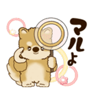 柴犬さん 2025 「リアクション2」（個別スタンプ：1）