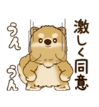 柴犬さん 2025 「リアクション2」（個別スタンプ：3）