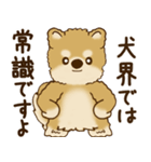 柴犬さん 2025 「リアクション2」（個別スタンプ：4）