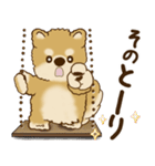 柴犬さん 2025 「リアクション2」（個別スタンプ：7）