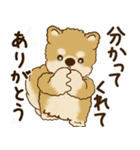 柴犬さん 2025 「リアクション2」（個別スタンプ：8）