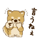 柴犬さん 2025 「リアクション2」（個別スタンプ：12）